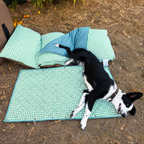 Black and white dog lying comfortably on a green gingham Co-mpanion Swag Mat outdoors next to a BowerBird Blue Joey lounger.