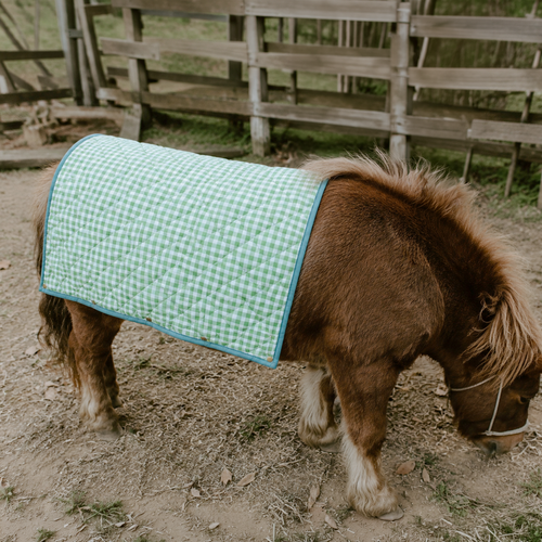 Small pony wearing the green gingham Co-mpanion Swag Mat draped over its back in a farmyard paddock.