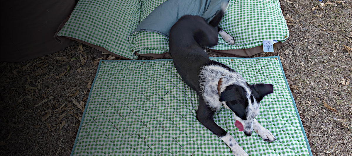 Black and white working dog resting on a green gingham Co-mpanion Swag Mat outdoors next to matching quilted pet pillows.